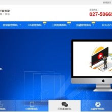 湖北楚泰軟件信息公司 供應產品