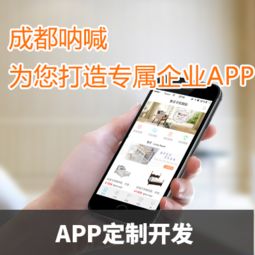 知名的app定制開發(fā)推薦 app定制開發(fā)市場(chǎng)